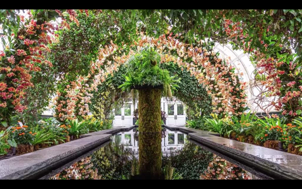 Virtual Tour of the New York Botanical Garden’s Orchid Show Jeff